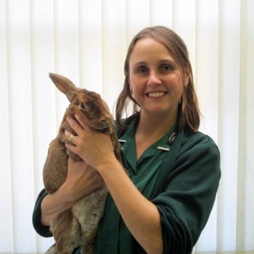 Stephanie James-Smith